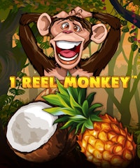 1 Reel Monkey
