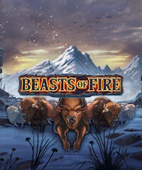 Beasts of Fire