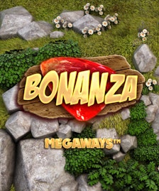 Bonanza Bonanza