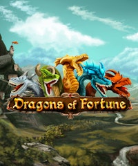 Dragons of Fortune